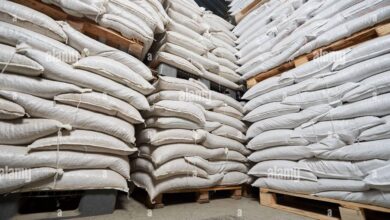 Stok Beras Pemerintah Menumpuk Di 5,3 Juta Ton, Ruang Gudang Bulog Tinggal Sedikit
