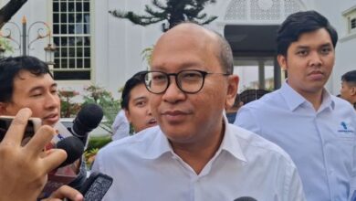 Eks Eksekutif Vale Asal Australia Dipilih Pimpin PT DSI, Kunci Baru Ekspor SDA Prabowo
