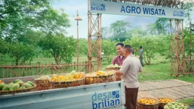 BRI Luncurkan Desa BRILiaN 2026, Desa Didorong Jadi Pusat Ekonomi Tangguh Berbasis Teknologi
