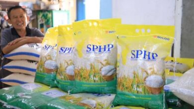 Harga Beras SPHP Tetap Dipatok, Penguatan Dolar Tak Mengubah Jatah Pasokan