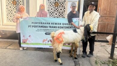 Ratusan Kapal PTK Tetap Berlayar Saat Iduladha, Kurban Pun Mengalir ke Warga