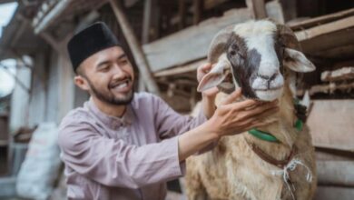Trauma Bisa Muncul Saat Anak Menonton Kurban, Orang Tua Perlu Cermat Menilai Kesiapannya