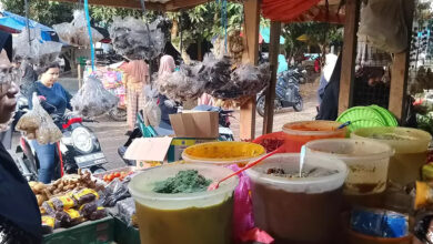 Bapanas Jaga Harga Pangan Tetap Stabil, Distribusi Jadi Fokus Pengawasan Usai Iduladha