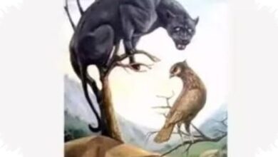 Dari Hewan Atau Wajah Perempuan, Tes Ilusi Optik Ini Ungkap Sisi Kepemimpinanmu Yang Paling Kuat