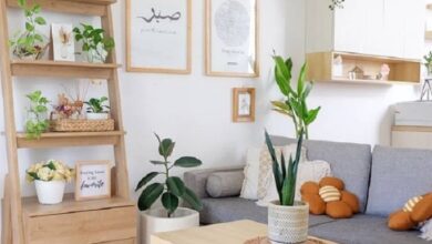 Aglonema Hingga Peace Lily, Lima Tanaman Indoor Yang Bantu Rumah Lebih Segar dan Rapi