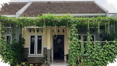 Kanopi Sayur Rambat Ubah Ruang Sempit Jadi Teduh, 8 Titik Rumah Tipe 36 Ini Paling Efektif