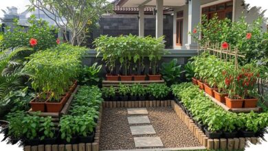 Kebun Sayur Depan Rumah Bisa Tetap Rapi, Ini 9 Cara Menata Lahan Sempit Tanpa Mengganggu Akses