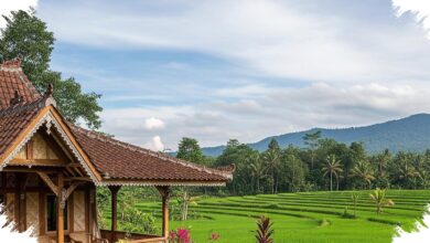 Jendela Jalusi di Rumah Desa, Rahasia Udara Lembut dan Cahaya Alami Tanpa AC
