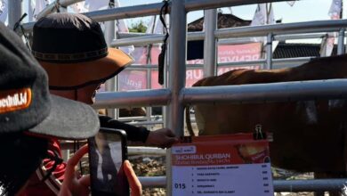 Rendang Kaleng Jadi Cadangan Bencana, Kurban Muhammadiyah Jateng Lampaui Rp 9 Miliar