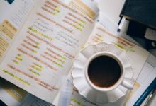 Belajar Bahasa Asing Tetap Unggul Di Tengah AI, Nuansa Manusia Belum Tergantikan