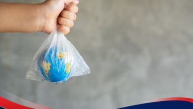 Paparan BPA dari Kemasan Harian Anak, Risiko Pubertas Dini dan Gangguan Hormon Sejak Dini