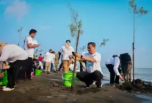 Abrasi Dan Rob Kian Menekan Pantura, Ahmad Luthfi Tanam Mangrove Di 16 Titik Jawa Tengah