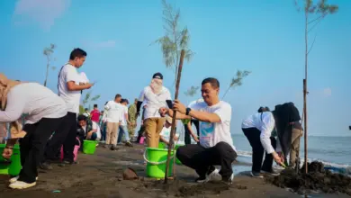 Abrasi Dan Rob Kian Menekan Pantura, Ahmad Luthfi Tanam Mangrove Di 16 Titik Jawa Tengah