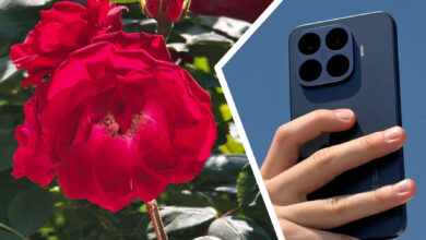 Telefoto Xiaomi 17T Pro Ternyata Sangat Andal, Zoom 10x Masih Menyimpan Detail Tajam