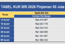 Non-KUR BRI Buka Ruang Lebih Luas, Dari KPR Hingga Multiguna Sesuai Kebutuhan Dana