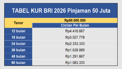 Non-KUR BRI Buka Ruang Lebih Luas, Dari KPR Hingga Multiguna Sesuai Kebutuhan Dana