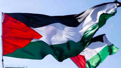 Bendera Palestina Berkibar Di Istana Presiden Slovenia, Pirc Musar Kirim Pesan Moral Untuk Gaza