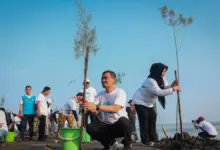 Aksi Serentak di Pesisir Jateng, 92.290 Bibit Menguatkan Penahan Abrasi Alamiah
