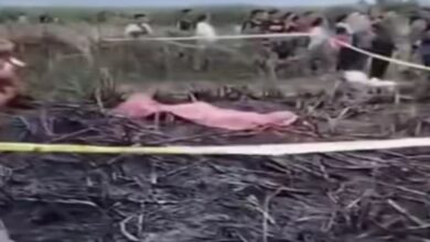 Lahan Tebu Dibakar Berujung Maut di Pati, Petani 60 Tahun Tewas Terjebak Api