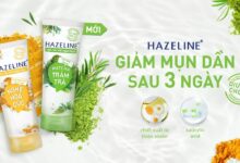 Dari Pori-Pori Tersumbat Sampai Kulit Sensitif, 4 Cleanser Matcha Ini Dibanderol Mulai Rp29 Ribu