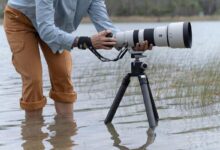 Potret Fotografer Alam Liar Kini Bisa Dibuat Dari Foto Biasa, Hasilnya Terlihat Sangat Natural